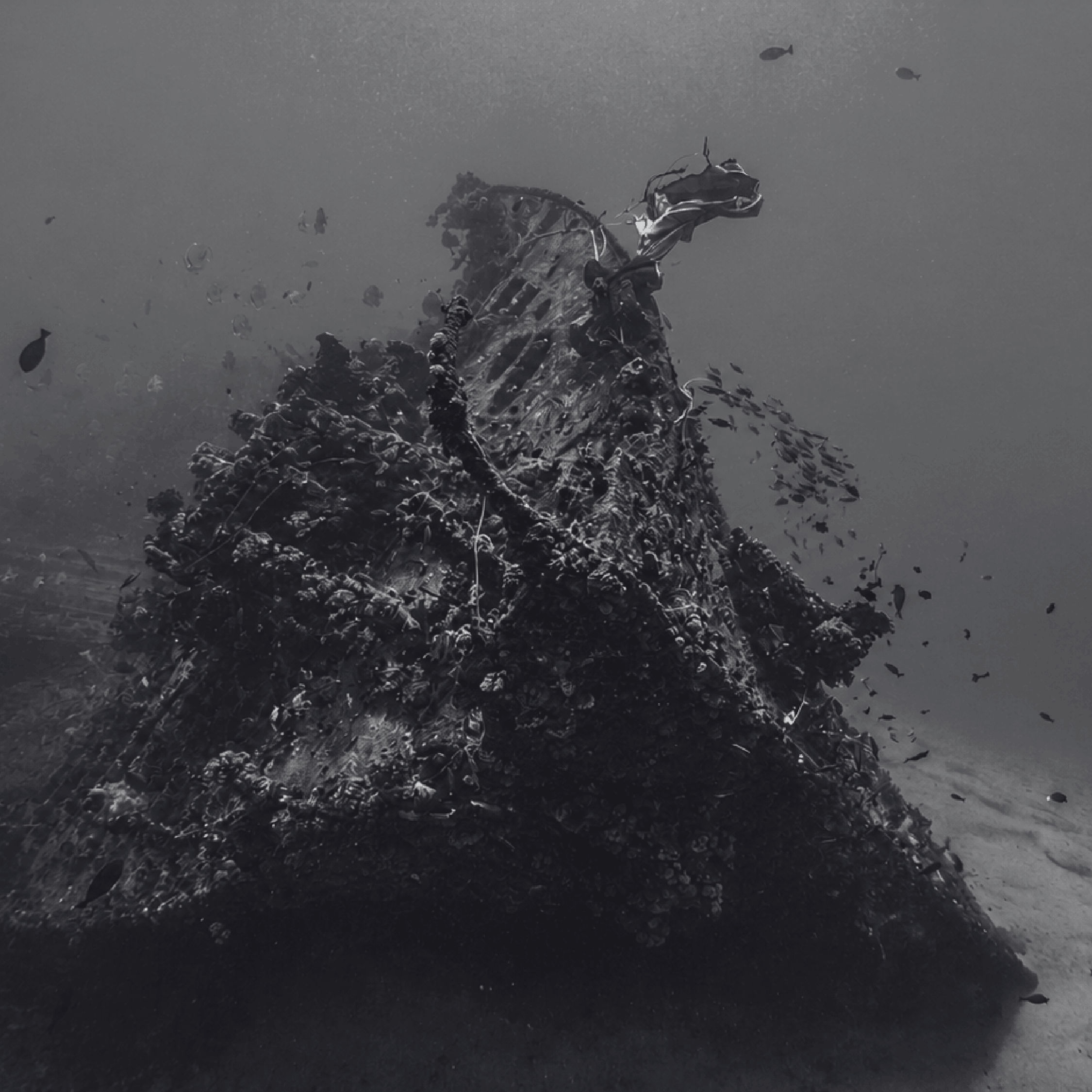 A WWII-era wreck off Sri Lanka's east coast