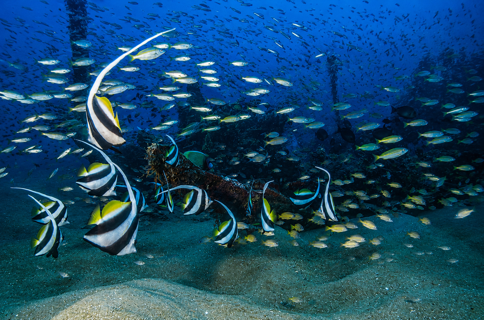 Seasonal Access